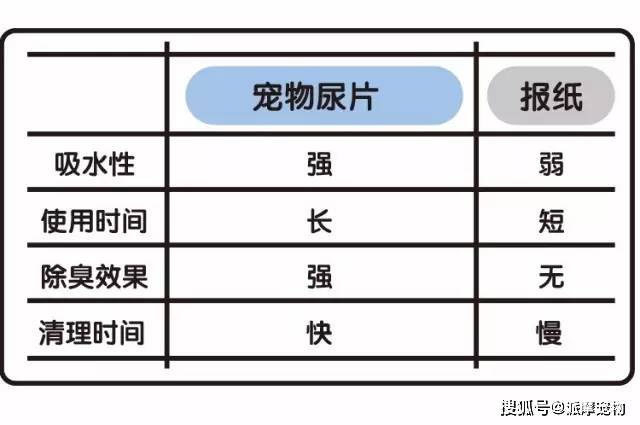 奇异果app官网下载：科普篇丨你不显露的宠物尿片神秘！(图3)